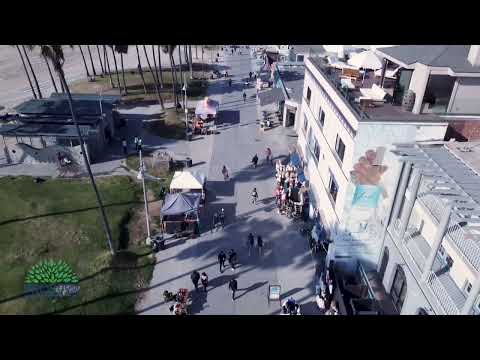 Romantic Venice Beach living just steps from the boardwalk. *2 weeks free* - Video 2 of 3