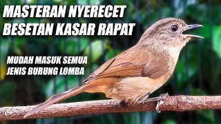 Download lagu MATERI KASAR RAPET!! MASTERAN FLAMBOYAN GACOR FULL NEMBAK NYERECET KASAR NGEBREN BESETAN PANJANG mp3