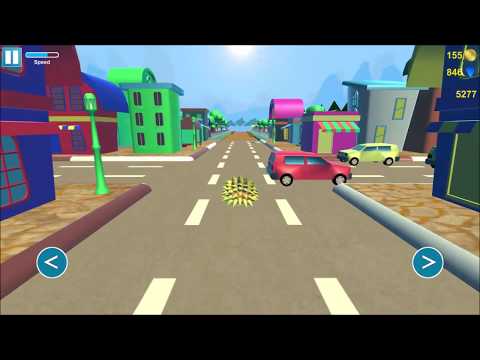 Hedgehog pet run Video