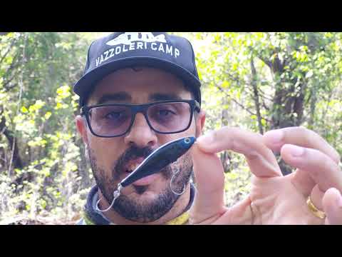 Vobler Daiwa Steez Pencil 60F 6.0cm 4.2g Blue Back Chart F