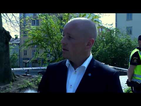 download lagu mp3 mp4 Sverigedemokraterna Norberg, download lagu Sverigedemokraterna Norberg gratis, unduh video klip Sverigedemokraterna Norberg