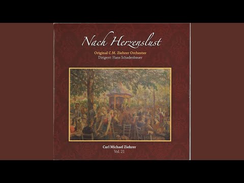 Sammt und Seide Walzer, Op. 515