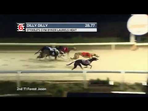 2019 O'TOOLE'S GYM BYKER LAURELS - HEAT 2 - T6 DILLY DILLY
