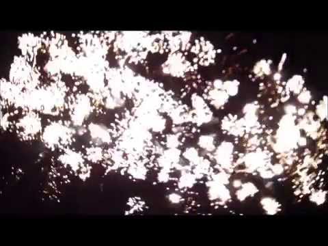 Royal Flush - Mirnovec pirotehnika - by Robi