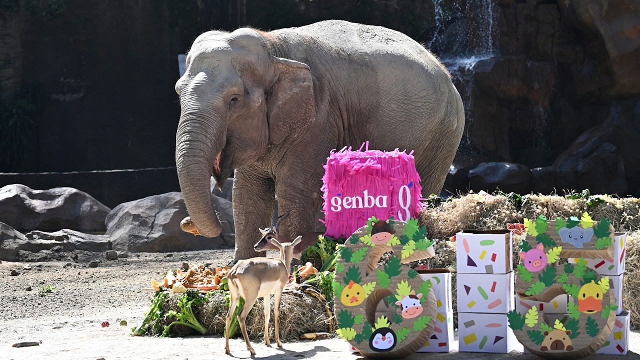 صورة بعنوان: maxresdefault