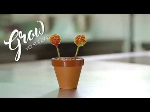 [RECIPE Les vergers Boiron] Foie gras, redcurrant and pistachio lollipops