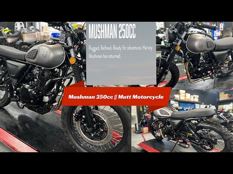 MUSHMAN 250CC || Mutt Motorcycle