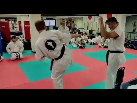 Jodan Mawashi Geri + Tobi Kakato Otoshi Geri