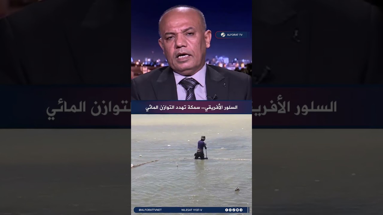 فيديو | تحسين الموسوي؛ فتح الصيد أمام الجميع ضرورة لاحتواء السلور الأفريقي
