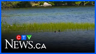 Water quality testing begins at Halifax beaches