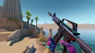M4A1 S Liquidation FN + Gloves Ultra Violent FN