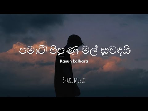 Pamawee (පමාවී) |kasun kalhara |lyrics |shaki musix