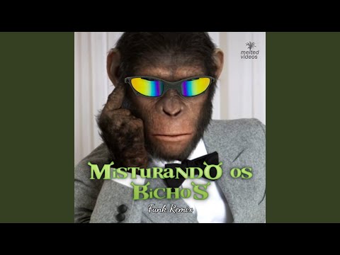 Misturando Os Bichos (Funk Remix)