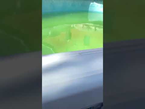 shoegaze pool party (4/2/22)