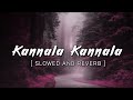 Kannala Kannala | Slowed and Reverb | Thani Oruvan | Jayam Ravi | Tamil Slowed Reverb
