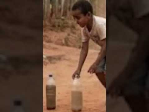 #historiadegoias #agro #rubiataba #históriadointerior #goiás #nostalgiaanos80 #fazenda #causos #hist