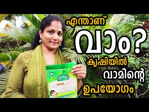 എന്താണ് വാം? കൃഷിയിൽ വാമിന്റെ ഉപയോഗം | How to Use VAM Biofertilizer in malayalam
