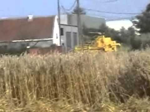 Martens Gebr.: Maaidorsen.