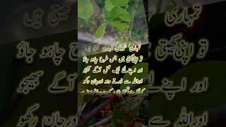 Download lagu surat baqarah ayat 223 urdu translation#translationquranandislam #islamicscholar#quranictranslation mp3