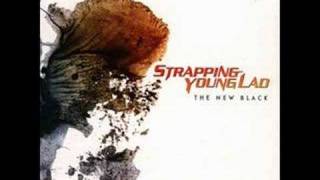 Best of Strapping Young Lad