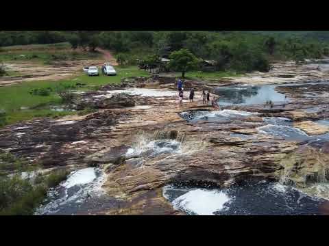 FOLHA LARGA - BOTUMIRIM - MINAS GERAIS - CANTA GALO