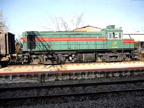 ALCo A206 "PLUTO" at Plati (14/11/10)