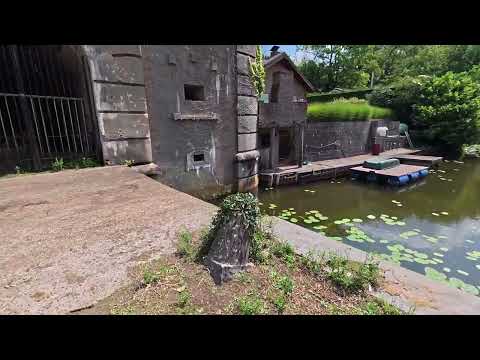 Fort van 's-Gravenwezel