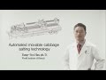 Automated Movable Cabbage Salting Technology