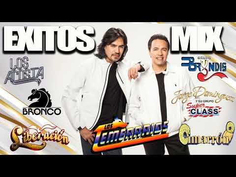 EXITOS MUSICALES GRUPO BRYNDIS TEMERARIOS LOS ACOSTA LOS FELINOS LOS MIER GRUPO MOJADO LADRON Y MAS.