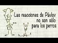 Las reacciones de Pávlov no son sólo para los perros - Benjamin N. Witts