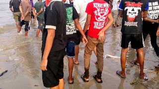 Download lagu New palapa live  padangan kragan tawur mp3