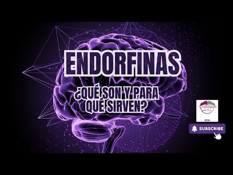 ¿QUÉ SON LAS ENDORFINAS Y PARA QUÉ SIRVEN?