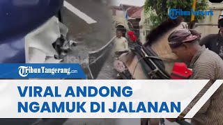 VIRAL Andong Ngamuk Tanpa Kusir di Jalanan, Ternyata Sempat Dipukul ODGJ dengan kayu