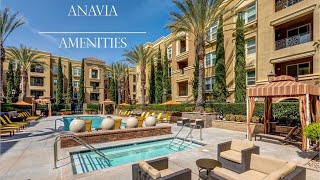 Anavia Amenities