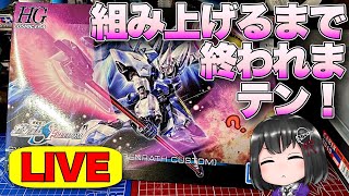 【HGCE ギャンシュトローム(アグネス機)】組み上げるまで終われまテン！