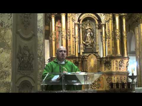 Homilía Catedral de Buenos Aires 8/11/2015 Misa Solemne