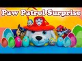 PAW PATROL Nickelodeon Paw Patrol Surprise ...