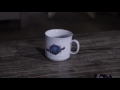 Meridian - Pure Celebration (Official Music Video)