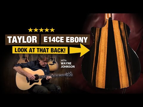 Taylor E14ce Ebony (a NEW model from Taylor?) - How Does it Sound?