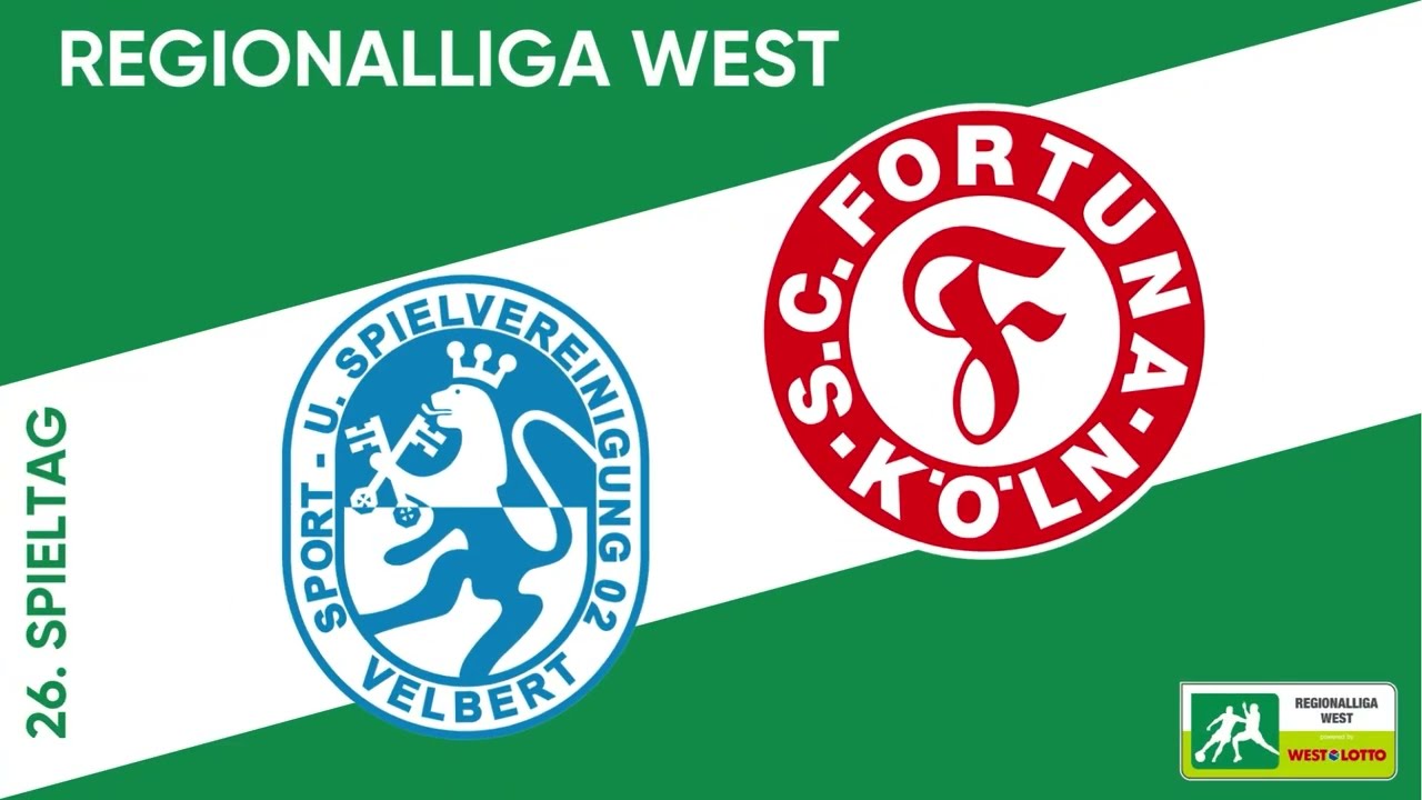SSVg Velbert vs SC Fortuna Köln Highlights