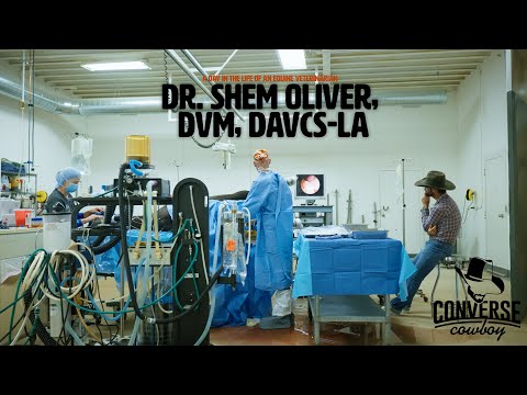 A Day in the Life of an Equine Veterinarian with Dr. Shem Oliver