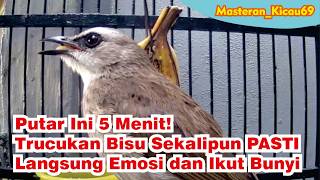 Download lagu Putar Ini 5 Menit! Trucukan Bisu Sekalipun PASTI Langsung EMOSI dan Ikut GACOR mp3 Download lagu Putar Ini 5 Menit! Trucukan Bisu Sekalipun PASTI Langsung EMOSI dan Ikut GACOR mp3