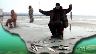 Куда поехать одному на рыбалку 2020
