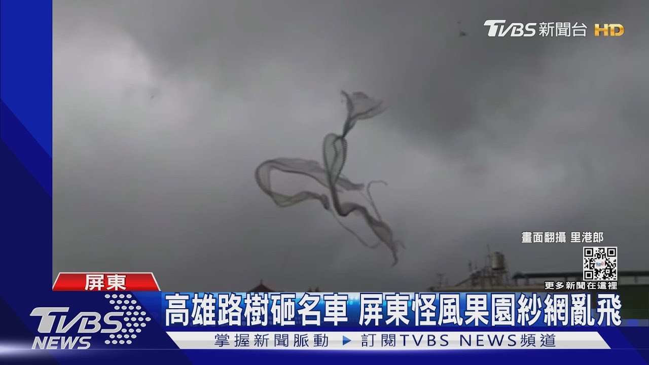 南部大雨!路樹砸名車 果園紗網飛天如「九天玄女」