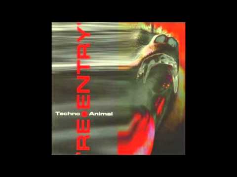 Techno Animal: Needle Park