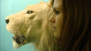 Juliana Hatfield - Love is Like the Wind (Wild Animals)