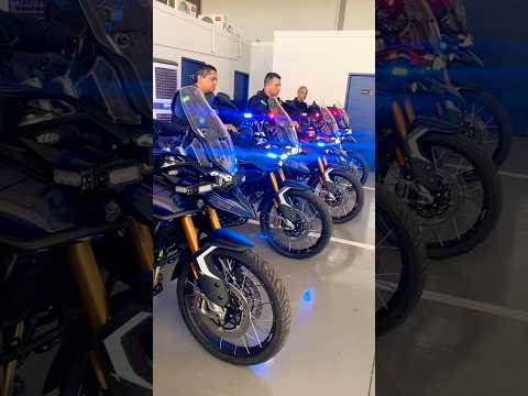 Triunph Tiger 900 #policia #GCM #rioverdegoias #concurseiro #romo #romu #segurançapública