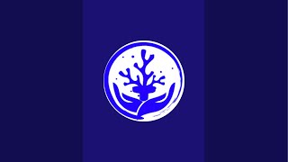 諏訪湖上花火大会