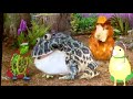 Wonderpets Save The Bullfrog