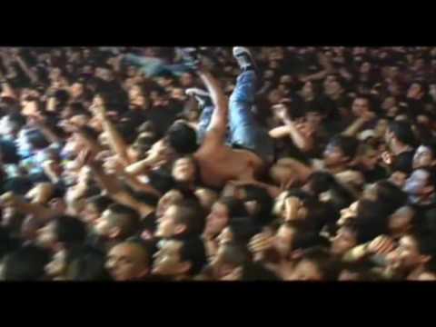 Toro y pampa - Almafuerte